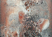 Vorschau Bildimpuls: Ave Maria Virgo Potens