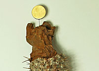 Vorschau Bildimpuls: Corpus – Auferstehung