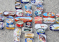 Vorschau Bildimpuls: Ichthys