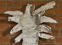 Vorschau Bildimpuls: Flying Wings. Die Sieben Schmerzen Mariens