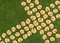 Vorschau Bildimpuls: Scheibenfeldkreuz