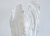 Vorschau Bildimpuls: Ahorn