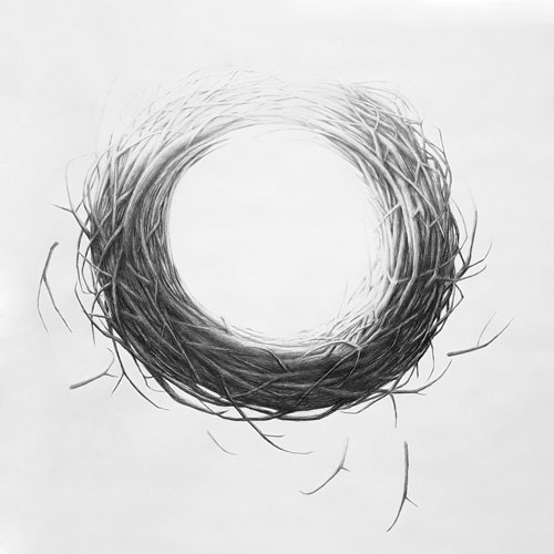 Carola Faller-Barris