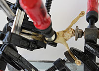 Vorschau Bildimpuls: ohne Titel